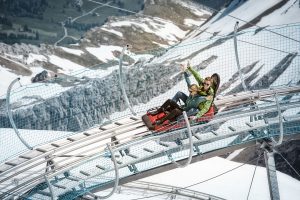 Glacier 3000 with Keytours - Alpine coaster